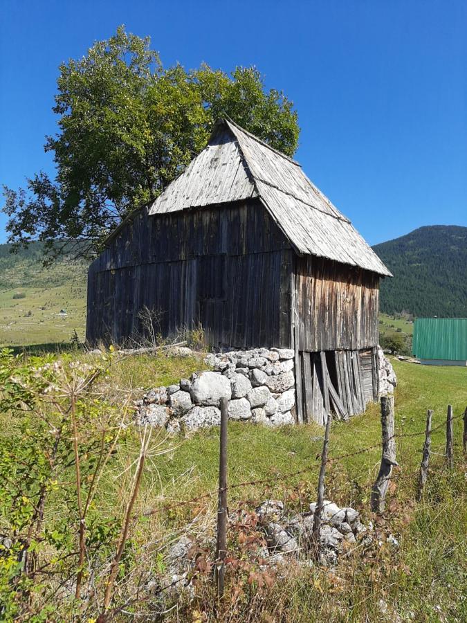 Villa Vikendica Borje Žabljak Exterior foto