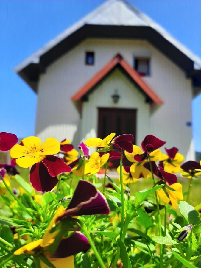 Villa Vikendica Borje Žabljak Exterior foto