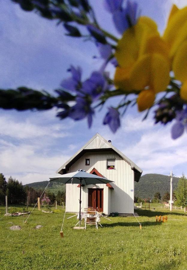 Villa Vikendica Borje Žabljak Exterior foto
