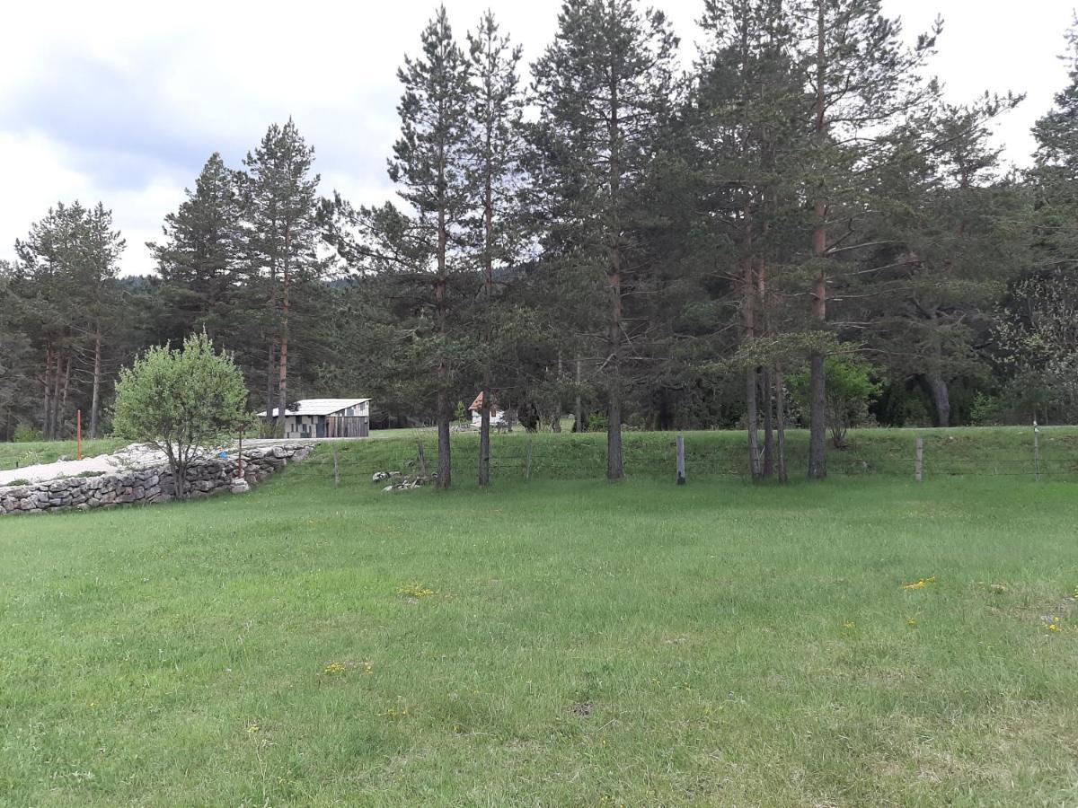 Villa Vikendica Borje Žabljak Exterior foto